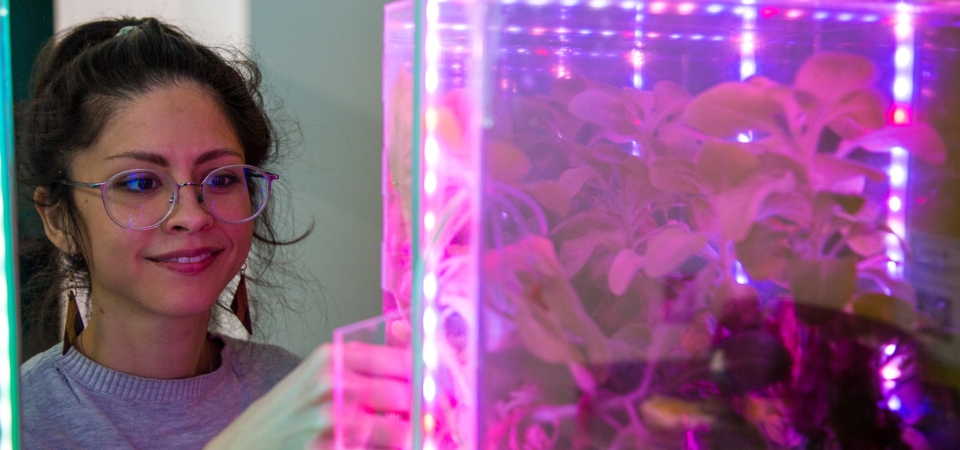 Sylvia Janicki, a Ph.D. Digital Media student, demonstrates "Sensing Bodies," an art installation with interactive exhibits that foreground relationships between a human and plant.